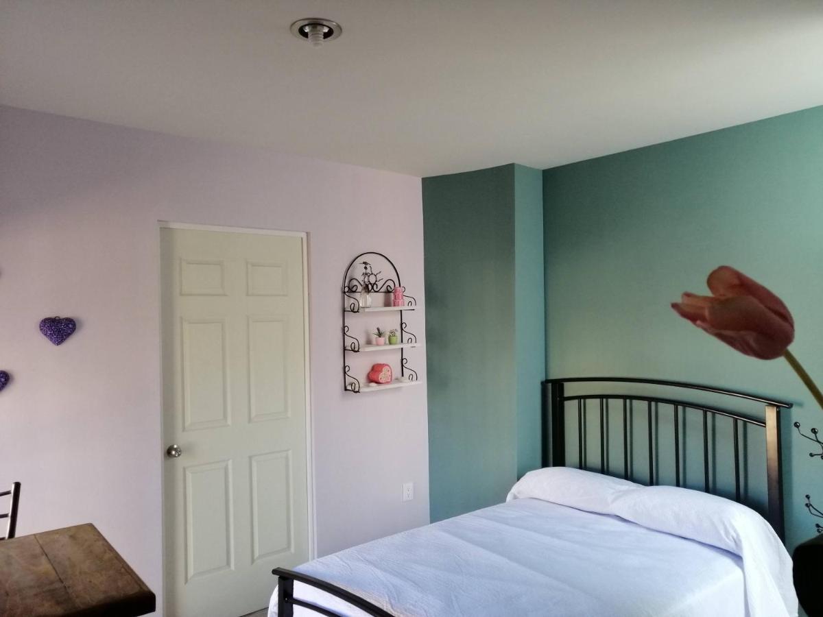 Casa Nikte Apartment Zacatecas Luaran gambar
